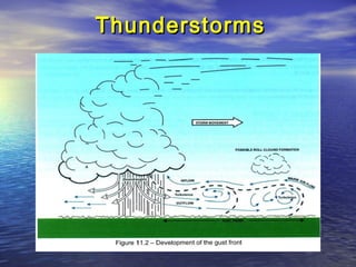ThunderstormsThunderstorms
 