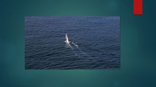 rana the truman show