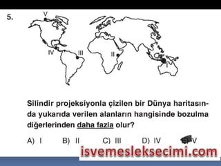 Sunu1 c6