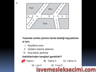 Sunu1 c6