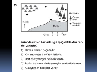 Sunu1 c6