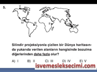 Sunu1 c6