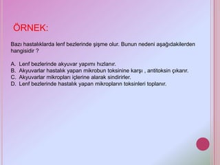 ÖRNEK:
Bazı hastalıklarda lenf bezlerinde şişme olur. Bunun nedeni aşağıdakilerden
hangisidir ?

A.   Lenf bezlerinde akyuvar yapımı hızlanır.
B.   Akyuvarlar hastalık yapan mikrobun toksinine karşı , antitoksin çıkarır.
C.   Akyuvarlar mikropları içlerine alarak sindirirler.
D.   Lenf bezlerinde hastalık yapan mikropların toksinleri toplanır.
 