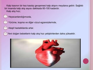 Kalp kasının bir kez kasılıp gevşemesi kalp atışını meydana getirir. Sağlıklı
bir insanda kalp atış sayısı dakikada 60-100 kadardır.
  Kalp atış hızı;

   Heyecanlandığımızda,

   Yürüme, koşma ve diğer vücut egzersizlerinde,

   Ateşli hastalıklarda artar.

   Yeni doğan bebeklerin kalp atış hızı yetişkinlerden daha yüksektir.
 