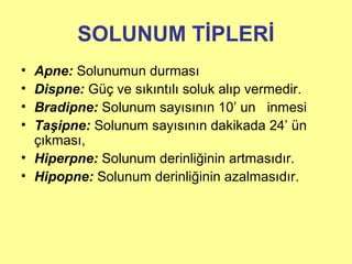 SOLUNUM TİPLERİ
• Apne: Solunumun durması
• Dispne: Güç ve sıkıntılı soluk alıp vermedir.
• Bradipne: Solunum sayısının 10’ un inmesi
• Taşipne: Solunum sayısının dakikada 24’ ün
çıkması,
• Hiperpne: Solunum derinliğinin artmasıdır.
• Hipopne: Solunum derinliğinin azalmasıdır.
 