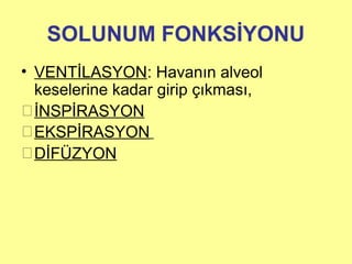 SOLUNUM FONKSİYONU
• VENTİLASYON: Havanın alveol
keselerine kadar girip çıkması,
İNSPİRASYON
EKSPİRASYON
DİFÜZYON
 