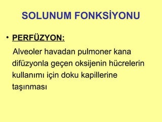 SOLUNUM FONKSİYONU
• PERFÜZYON:
Alveoler havadan pulmoner kana
difüzyonla geçen oksijenin hücrelerin
kullanımı için doku kapillerine
taşınması
 