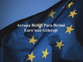 Avrupa Birliği Para Birimi Euro’nun Geleceği 