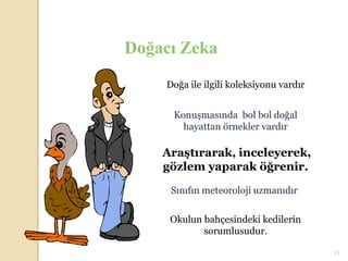 Doğacı Zeka
    Doğa ile ilgili koleksiyonu vardır


     Konuşmasında bol bol doğal
       hayattan örnekler vardır

    Araştırarak, inceleyerek,
    gözlem yaparak öğrenir.

     Sınıfın meteoroloji uzmanıdır.

     Okulun bahçesindeki kedilerin
            sorumlusudur.

                                         15
 