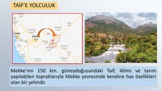 Mekke'nin 150 km. güneydoğusundaki Taif, iklimi ve tarım
yapılabilen topraklarıyla Mekke çevresinde kendine has özellikleri
olan bir şehirdir.
TAİF’E YOLCULUK
 
