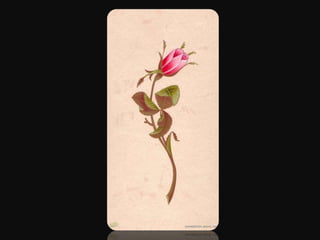 flora 