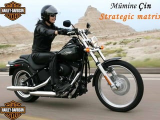 Mümine Çin
Strategic matrix
 
