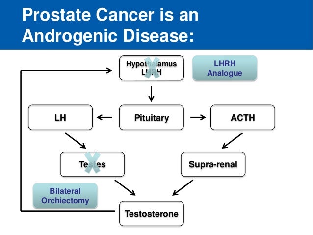 Prostate Cancer Keep Takling The Androgenic Nature