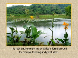 vsng0415@yahoo.com

  The lush environment in Sun Valley is fertile ground
         for creative thinking and great ideas.
 