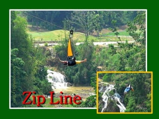 vsng0415@yahoo.com




Zip Line
 