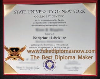 SUNY-Geneseo-degree.pdf