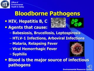 Bloodborne Pathogens
• HIV, Hepatitis B, C
• Agents that cause:
‒ Babesiosis, Brucellosis, Leptospirosis
‒ HTLV-1 Infections, Arboviral Infections
‒ Malaria, Relapsing Fever
‒ Viral Hemorrhagic Fever
‒ Syphilis
• Blood is the major source of infectious
pathogens
Office of
Environmental
Health & Safety
Environmental Resource Center
 