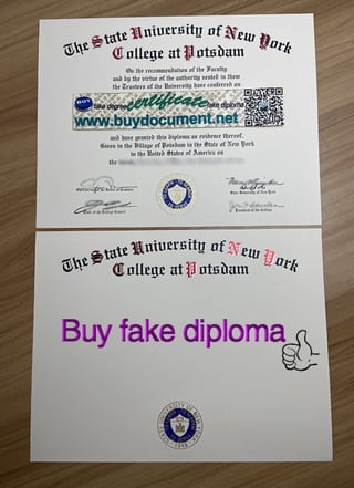 SUNY diploma