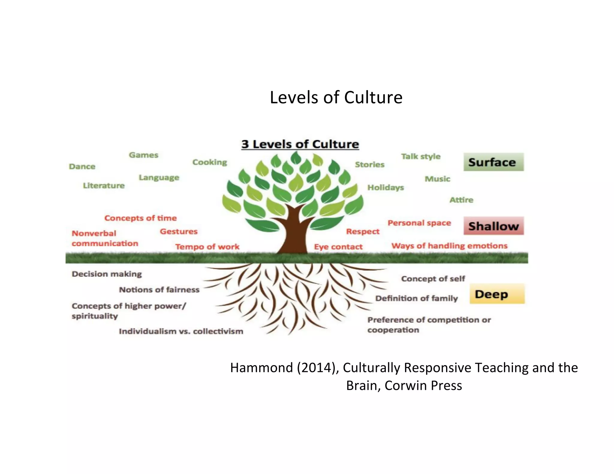 Hammond (2014), Culturally Responsive Teaching and the
Brain, Corwin Press
Levels of Culture
 