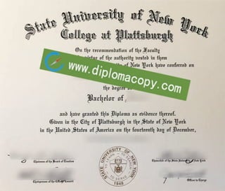 SUNY Plattsburgh diploma, buy fake usa degree