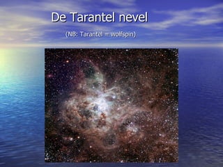   De Tarantel nevel    (NB: Tarantel = wolfspin) 