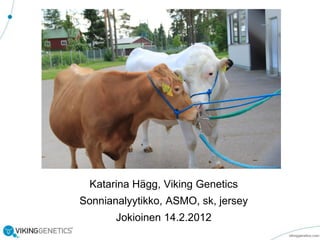 Katarina Hägg, Viking Genetics
Sonnianalyytikko, ASMO, sk, jersey
Jokioinen 14.2.2012

 