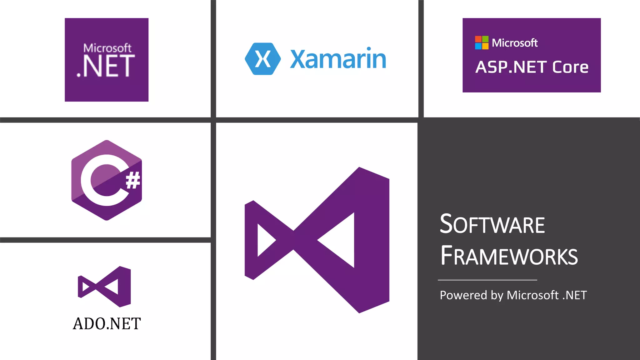 SOFTWARE
FRAMEWORKS
Powered by Microsoft .NET
 