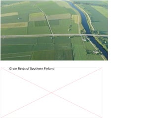 Grain fields of Southern Finland

 