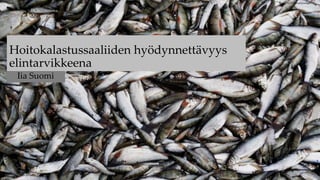 Hoitokalastussaaliiden hyödynnettävyys
elintarvikkeena
Iia Suomi
Kuva: Tommi Parkkinen/YLE
 
