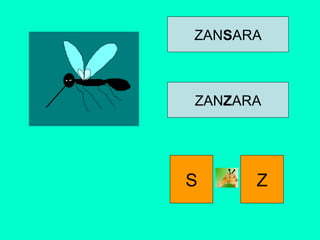ZANSARA
ZANZARA
S Z
 