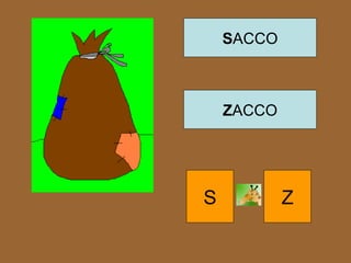 SACCO
ZACCO
S Z
 