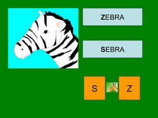 ZEBRA
SEBRA
S Z
 