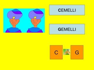 CEMELLI
GEMELLI
C G
 