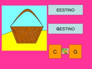 CESTINO
GESTINO
C G
 