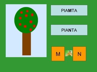 PIAMTA
PIANTA
M N
 