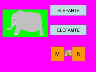ELEFANTE
ELEFAMTE
M N
 
