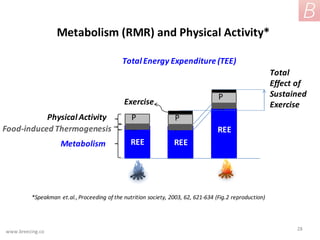 Metalism Tracker Breezing - Educational | PDF