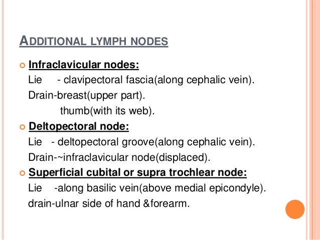 venous & lymphatic drainage of upper limb