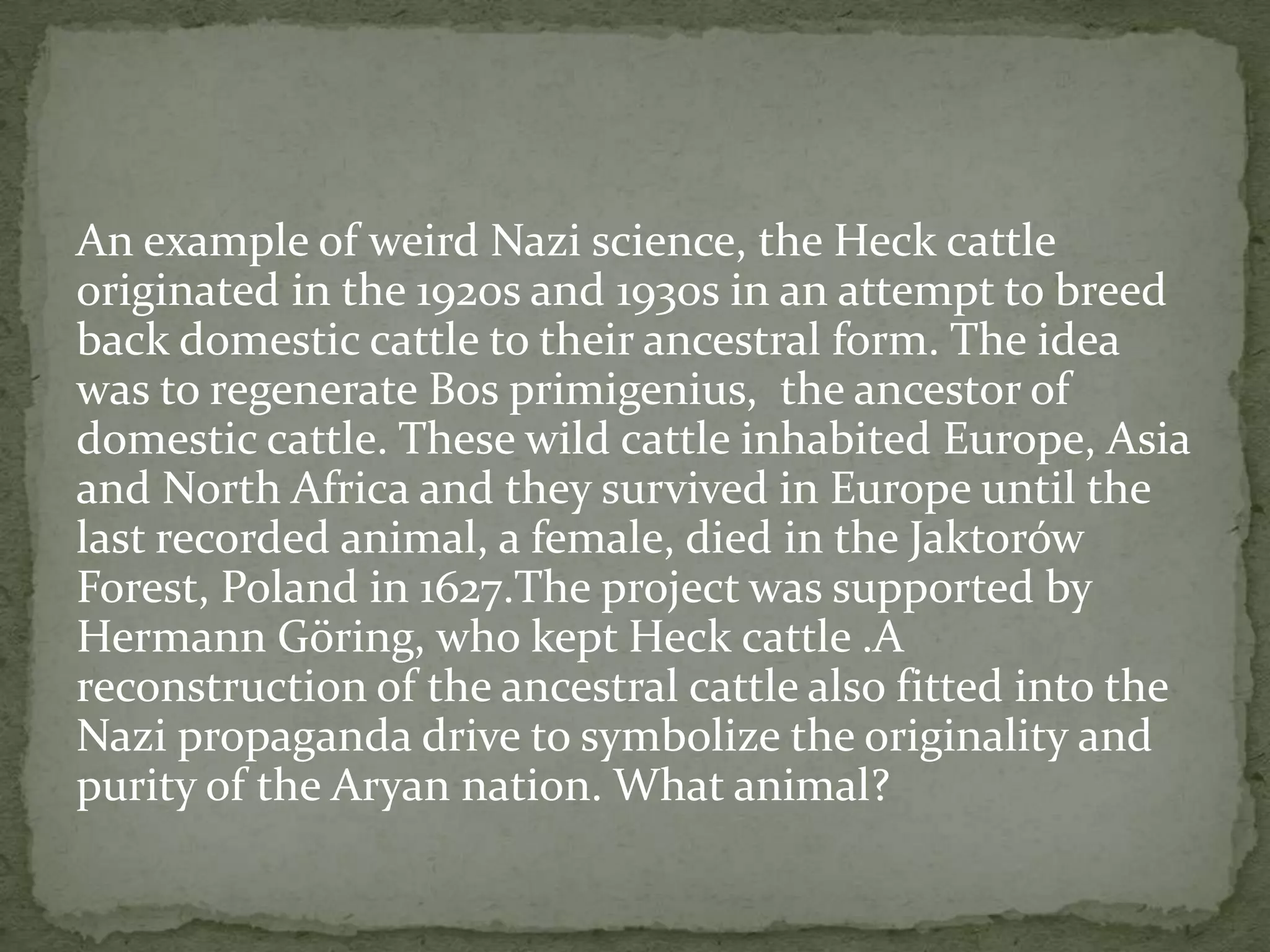 An example of weird Nazi science, the Heck cattle
originated in the 1920s and 1930s in an attempt to breed
back domestic cattle to their ancestral form. The idea
was to regenerate Bos primigenius, the ancestor of
domestic cattle. These wild cattle inhabited Europe, Asia
and North Africa and they survived in Europe until the
last recorded animal, a female, died in the Jaktorów
Forest, Poland in 1627.The project was supported by
Hermann Göring, who kept Heck cattle .A
reconstruction of the ancestral cattle also fitted into the
Nazi propaganda drive to symbolize the originality and
purity of the Aryan nation. What animal?
 