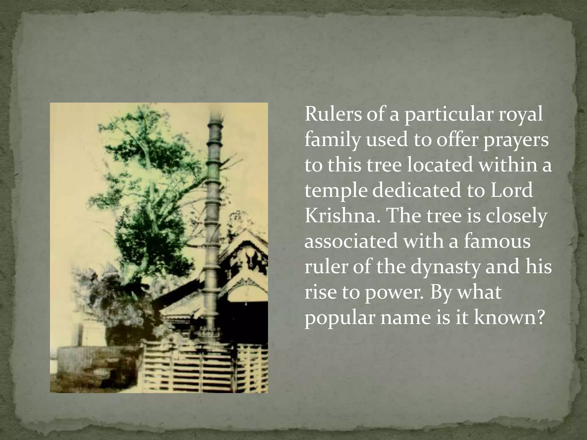 Rulers of a particular royal
family used to offer prayers
to this tree located within a
temple dedicated to Lord
Krishna. The tree is closely
associated with a famous
ruler of the dynasty and his
rise to power. By what
popular name is it known?
 