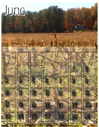 June
S

M

W

T

F

S

1

T

2

3

4

5

6

7

8

9

10

11

12

13

14

15

16

17

18

19

20

21

22

23

24

25

26

27

28

29

30

 