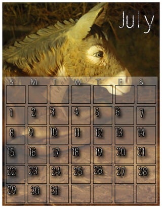 July
S

M

T

W

T

F

S

1

2

3

4

5

6

7

8

9

10

11

12

13

14

15

16

17

18

19

20

21

22

23

24

25

26

27

28

29

30

31

 