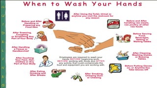 SUP BASIC PERSONAL HYGIENE RULES FOR FOOD HANDLERS - Copy.pptx
