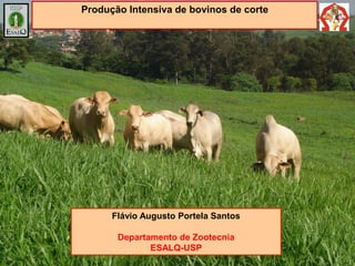Produção Intensiva de bovinos de corte




      Flávio Augusto Portela Santos

       Departamento de Zootecnia
              ESALQ-USP
 