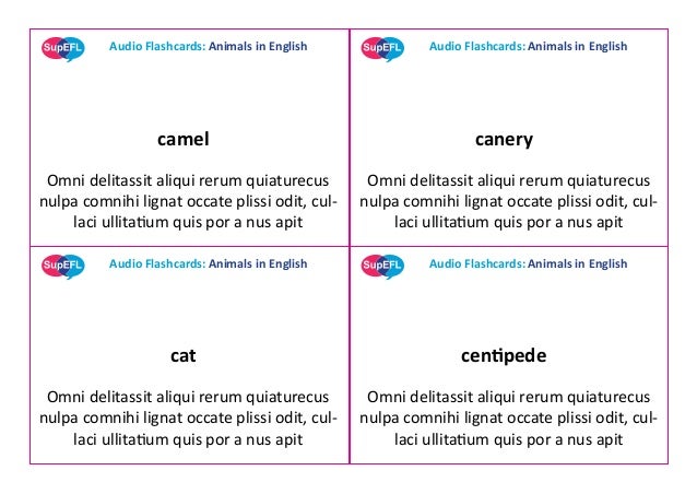 Supefl Audio Flashcards Animals In English Word Sample Text
