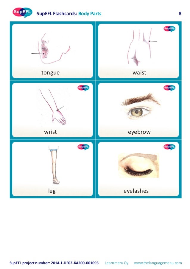 SupEFL flashcards body parts (in english)