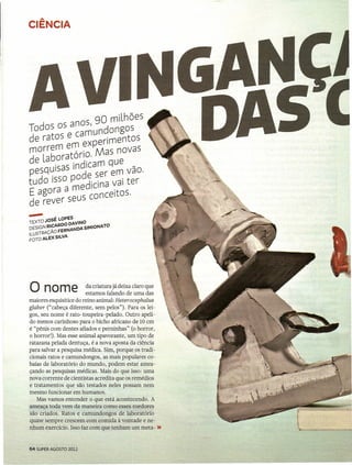 I·       A


     CIENCIA




                     90 milhões
     Todos os anos, undongos
     de ratos e ca:Xperimentos
     morrem en;. Mas novas
     de laboratono.
            . . dicam que
     pesq~lsas I~de ser em vão.
     tudo ISSOp d'ICI vai ter
              a me 'na
     E agora eus conceitos.
     de rever s
     ---       . OPES
     TEXTO JOSE L     AVINO
     DESIGN RI~ARD~:ANDA SIMIONATO
     ILUSTRAÇAO FE
     FOTO ALEX SILVA




     o no m e                 da criatura já deixa claro que
                              estamos falando de uma das
     maiores esquisitice do reino animal: HeterocephaLus
     gLaber ("cabeça diferente, sem pelos"). Para os lei-
     gos, seu nome é rato-toupeira-pelado. Outro apeli-
     do menos carinhoso para o bicho africano de 10 em
     é "pênis com dentes afiados e perninhas" (o horror,
     o horror!). Mas esse animal apavorante, um tipo de
     ratazana pelada dentuça, é a nova aposta da ciência
     para salvar a pesquisa médica. Sim, porque os tradi-
     cionais ratos e camundongos, as mais populares co-
     baias de laboratório do mundo, podem estar amea-
     çando as pesquisas médicas. Mais do que isso: uma
     nova corrente de cientistas acredita que os remédios
     e tratamentos que são testados neles possam nem
     mesmo funcionar em humanos.                 .
         Mas vamos entender o que está acontecendo. A
     ameaça toda vem da maneira como esses roedores
     são criados. Ratos e camundongos de laboratório
     quase sempre crescem com comida à vontade e ne-
     nhum exercício. Isso faz com que tenham um meta - »


     64 SUPER AGOSTO 2012
 