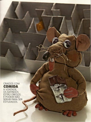 CRIADOS COM
COMIDA
À VONTADE,
OS RATINHOS
ESTÃO OBESOS.
E PODEM NÃO
SERVIR PARA SER
ESTUDADOS.
 