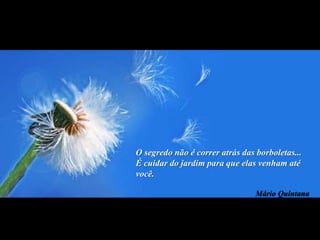 Perda de Atitudes PositivasReclamaçõesFofocasPreguiçaQueixasO que corroemas atitudes + ?IndecisõesRemoer o PassadoRaivaVingançaOfensas pessoais