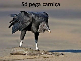 O segredo não é correr atrás das borboletas...É cuidar do jardim para que elas venham até você.Mário Quintana